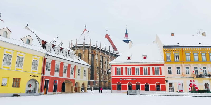 Bear Sanctuary, Dracula's Castle and Brasov | Private Tour - Exploring Transylvania: Bears, Castles, and Medieval Charm
