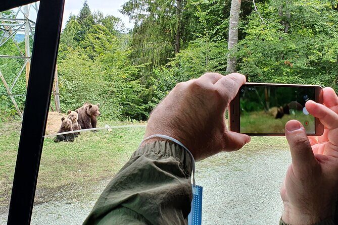 Bears and Dracula Private Full-Day Tour from Bucharest - Who Will Love This Tour?