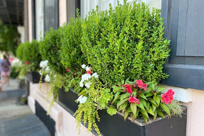 Beat the Heat! Take an Evening History Tour of Charleston! - Practical Details & Traveler Tips