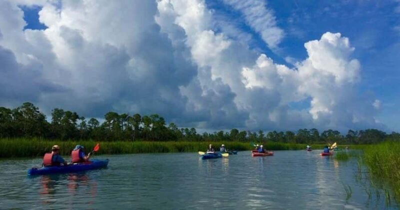 Beaufort: Guided Kayak Tour with Wildlife Viewing - Exploring the Lowcountry via Kayak: A Deep Dive
