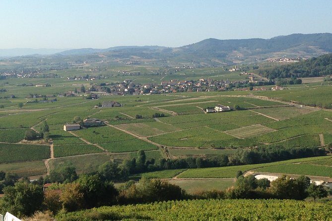 Beaujolais Crus Wines & Castles (2:00 pm - 6:30 pm) - Small Group Tour from Lyon - FAQ