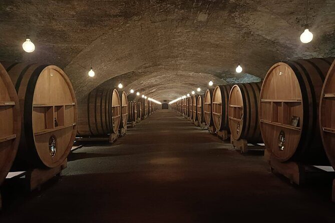 Beaujolais wine and Perouges village full day shared tour - Practical Details and Considerations