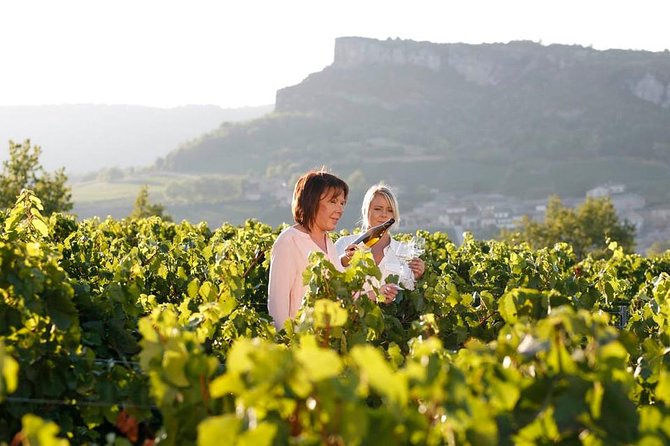 Beaujolais Wine Tasting - Beaujolais Wine-Making Process