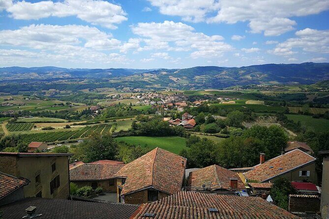 Beaujolais Wine Tour - Tastings & Gourmet Picnic Lunch - Key Points