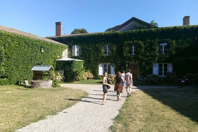 Beaujolais Wine Tour - Tastings & Gourmet Picnic Lunch - FAQ