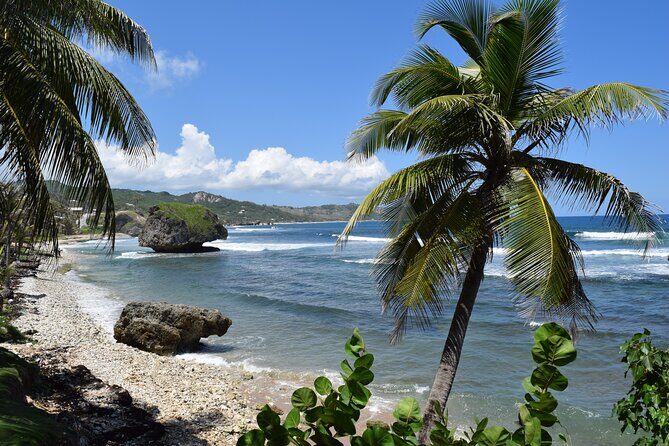 Beautiful Coastal Sightseeing Tour of Barbados - Practical Details and Tips