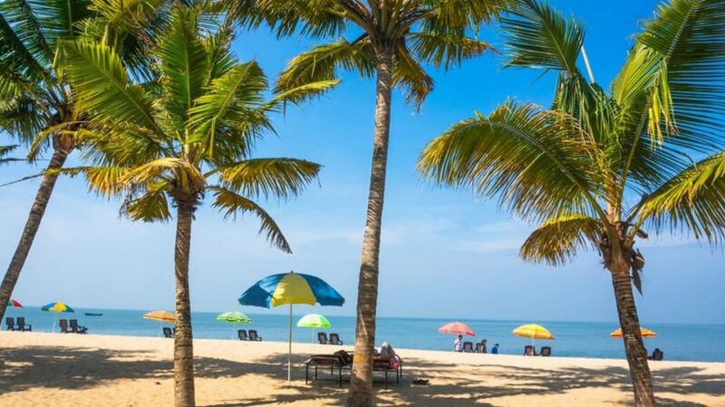 Beautiful, Mararikulam Beach Tour (02 Nights / 03 Days) - Excluded Services