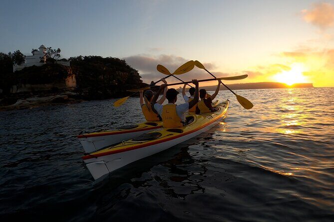 Beautiful Middle Harbour Sunriser / Guided Kayaking Private Tour - A Closer Look at the Middle Harbour Sunriser Tour