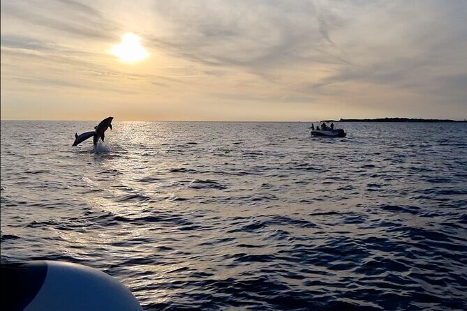 Beautiful Sunset and Dolphin Watching - The Sum Up