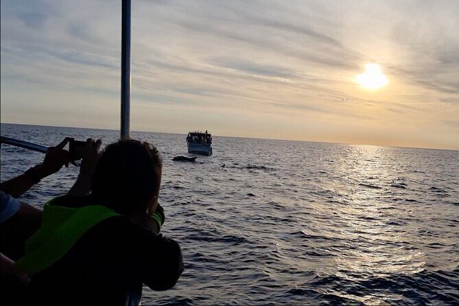 Beautiful Sunset and Dolphin Watching - FAQ