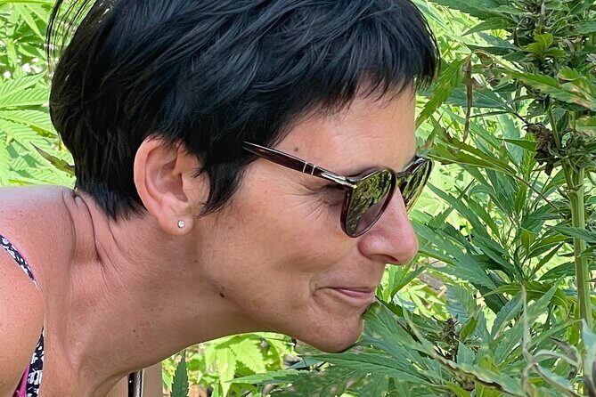 Beautiful Sunset Tour at the Rick's Cafe in Negril - The Value of This Tour