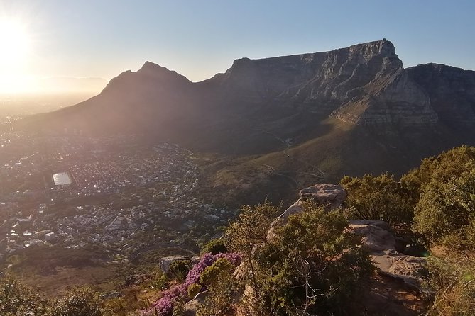 Beautiful Table Mountain Hike - Guided Tour Highlights