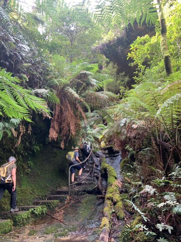 Beauty of the Blue Mountains Private Tour - Key Points