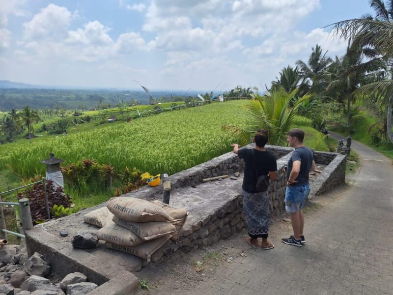 Beauty the Nature North of Bali Tour - Ulun Danu Bratan Temple