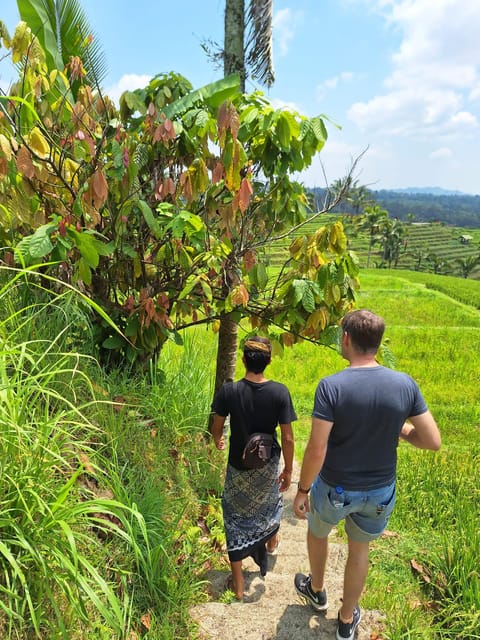 Beauty the Nature North of Bali Tour - Important Information