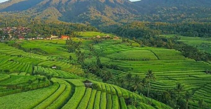 Beauty the Nature North of Bali Tour - Frequently Asked Questions