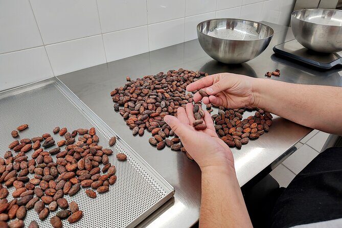 Become a chocolatier for a day, in Modica raw chocolate - Exploring Modica’s Raw Chocolate Experience