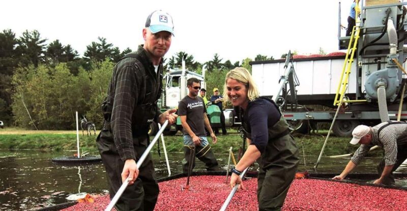 Become A Cranberry Bogger for a Day Experience - Who Should Consider This Tour?