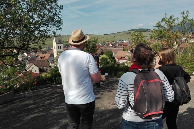 Become a Winemaker for a Day! - Discover the Art of Winemaking