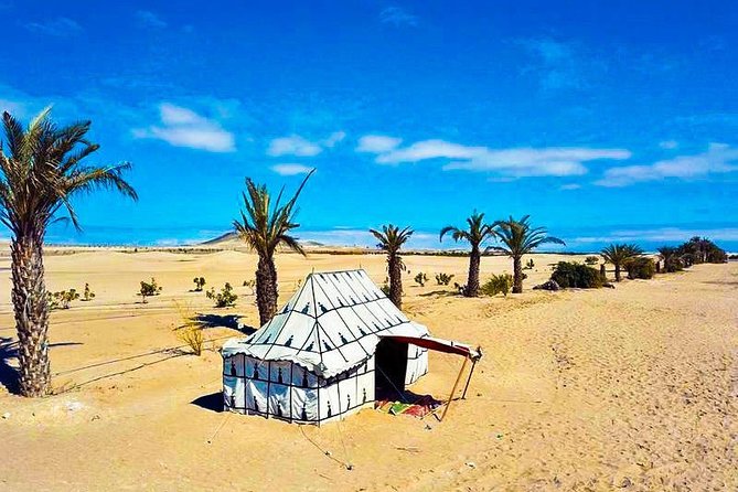 Bedouin Adventure: Dromedaries in the Desert - Pickup and Redemption Details
