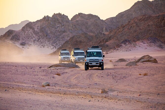 Bedouin Village Jeep Safari With Dinner & Camel Ride in Hurghada - Good To Know