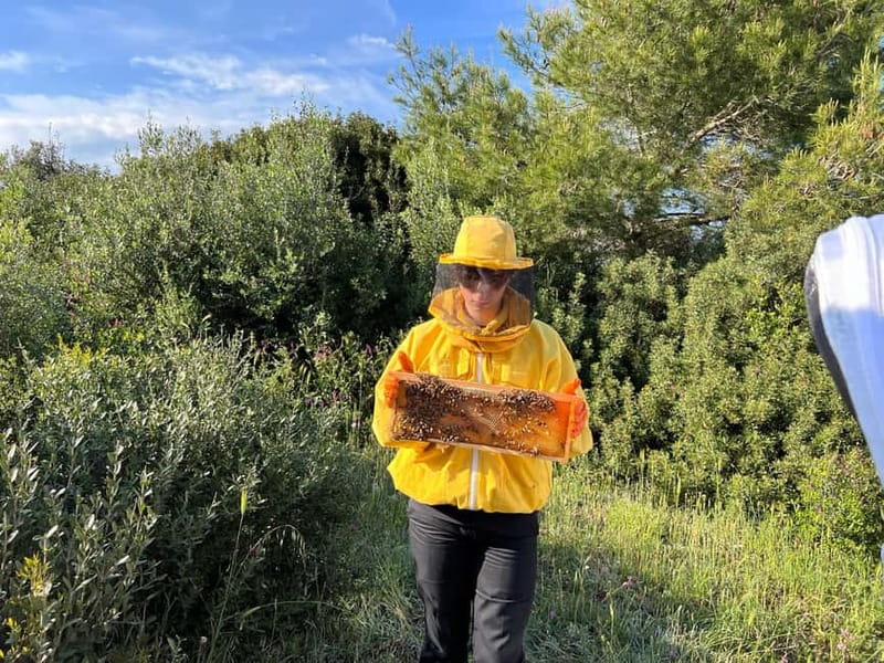 Beekeeper for a Day in the Torre Guaceto Reserve - A Deep Dive into the Experience