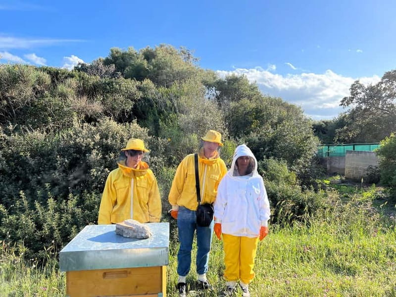 Beekeeper for a Day in the Torre Guaceto Reserve - Authenticity and Reviews: What Others Say