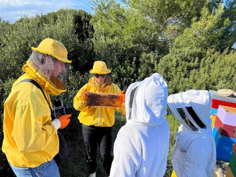 Beekeeper for a Day in the Torre Guaceto Reserve - Who Will Love This Tour?