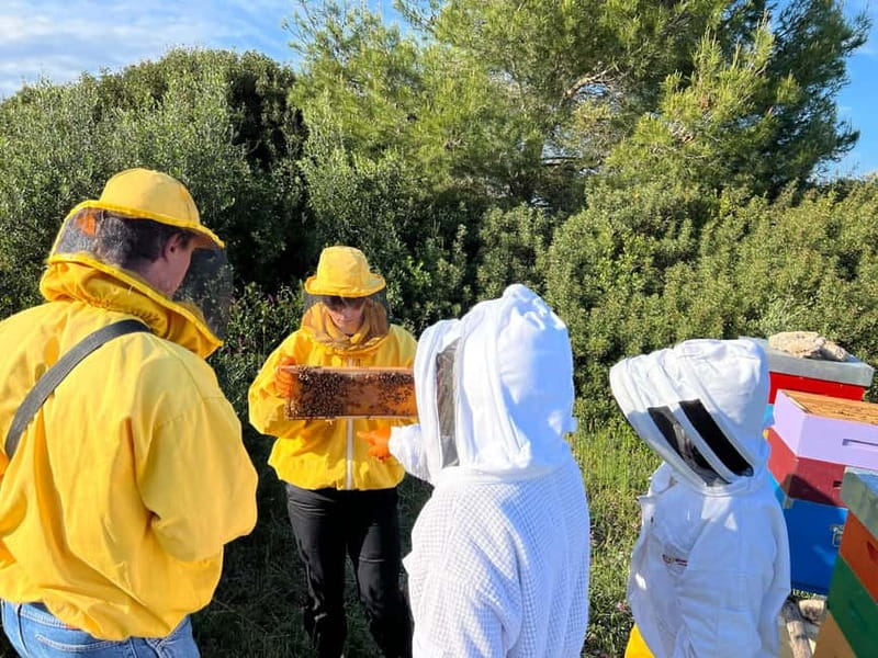 Beekeeper for a Day in the Torre Guaceto Reserve - Final Thoughts