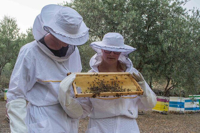 Beekeeping and Honey Stories in Itea - Key Points