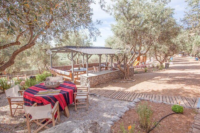 Beekeeping and Honey Stories in Itea - Whats Included & Whats Not