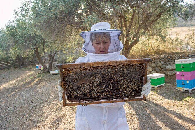 Beekeeping and Honey Stories in Itea - Authentic Visitor Experiences