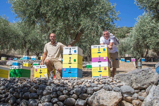 Beekeeping and Honey Stories in Itea - Who Will Love This Tour?