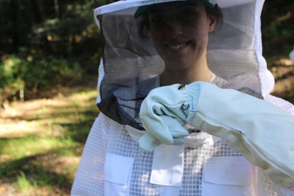Beekeeping Tour in Amarante With Honey Tasting - Tasting Honey and Hive Products