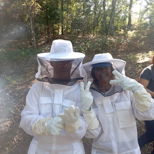 Beekeeping Tour in Amarante With Honey Tasting - Bee Orientation and Hive Types
