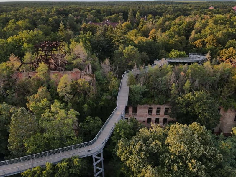 Beelitz-Heilstätten: Baum&Zeit Tree Top Walk Entry Ticket - What to Expect During Your Visit