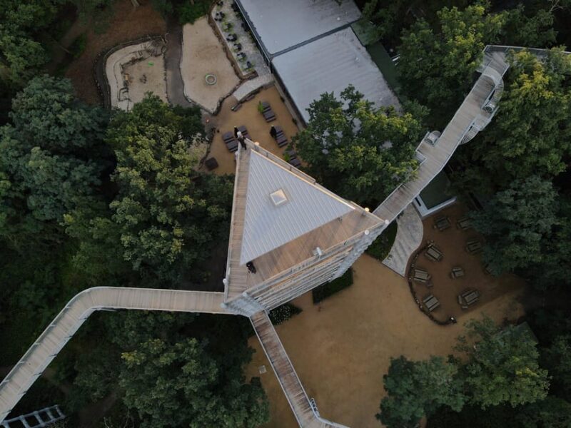 Beelitz-Heilstätten: Baum&Zeit Tree Top Walk Entry Ticket - Analyzing the Value
