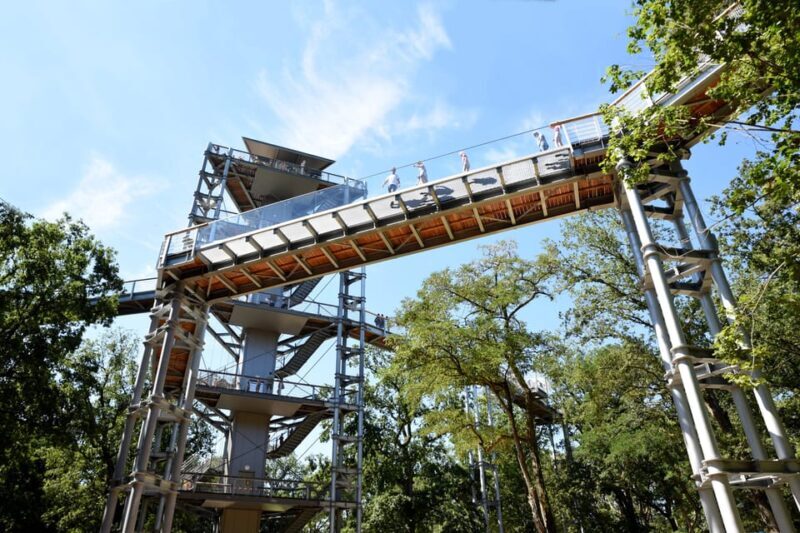 Beelitz-Heilstätten: Baum&Zeit Tree Top Walk Entry Ticket - FAQ