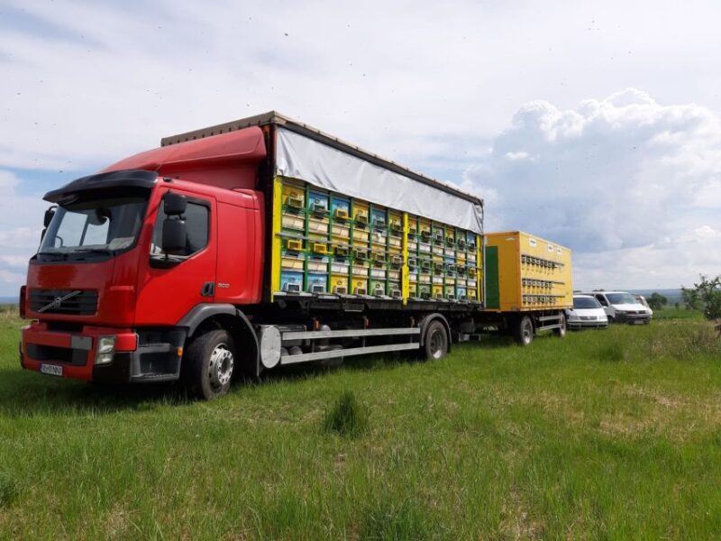 Bees in Romania - Private Beekeeping Lesson and Local Lunch - The Harvesting Process
