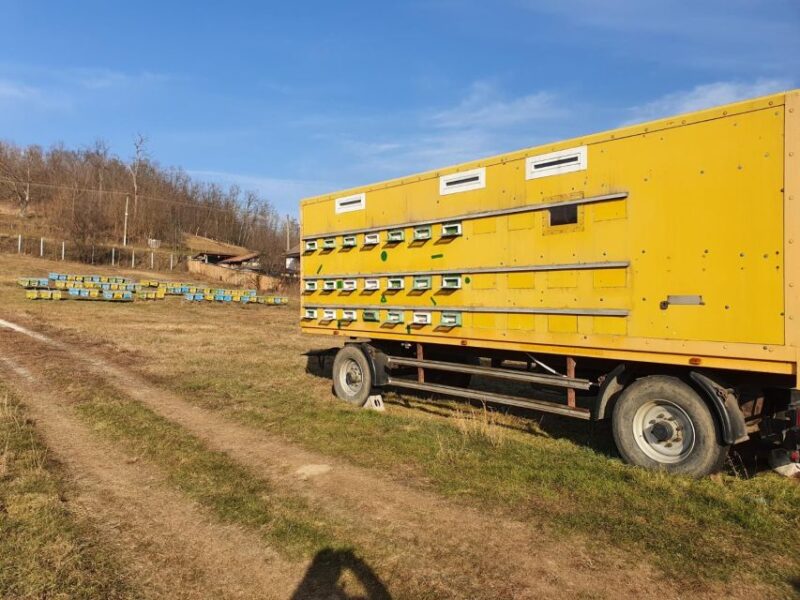Bees in Romania - Private Beekeeping Lesson and Local Lunch - Local Lunch Delicacies