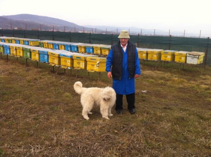 Bees in Romania - Private Beekeeping Lesson and Local Lunch - Important Participation Notes