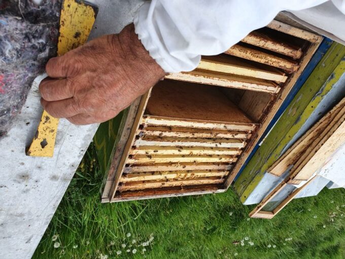 Bees in Romania - Private Beekeeping Lesson and Local Lunch - Exploring Romanian Beekeeping