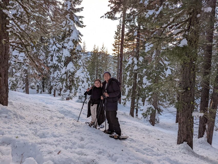Beginner and Family Snowshoe Tour - Key Points
