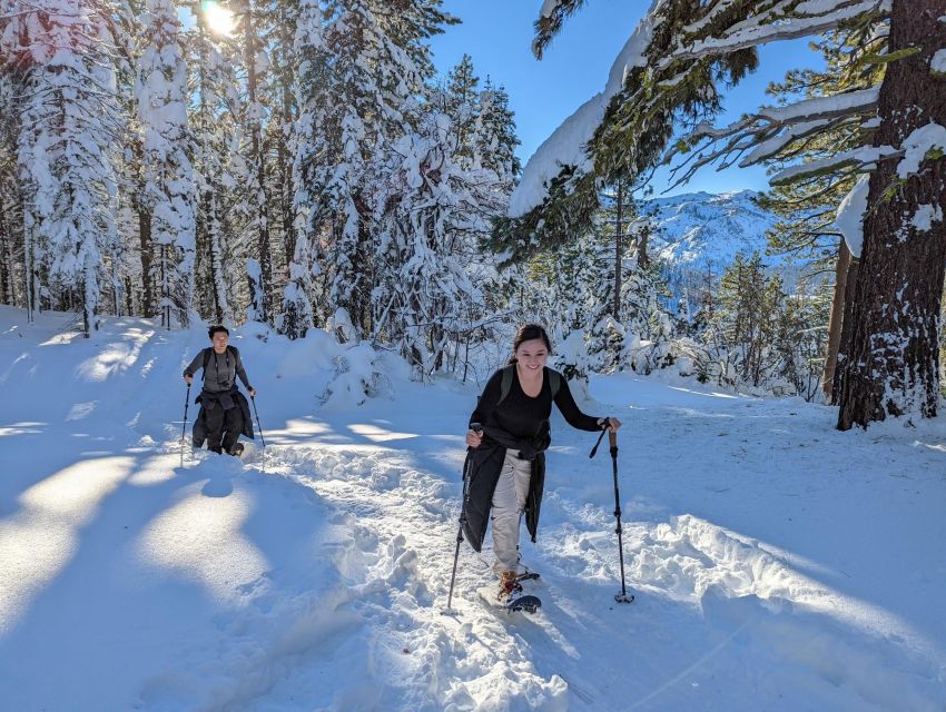 Beginner and Family Snowshoe Tour - Guided Adventure