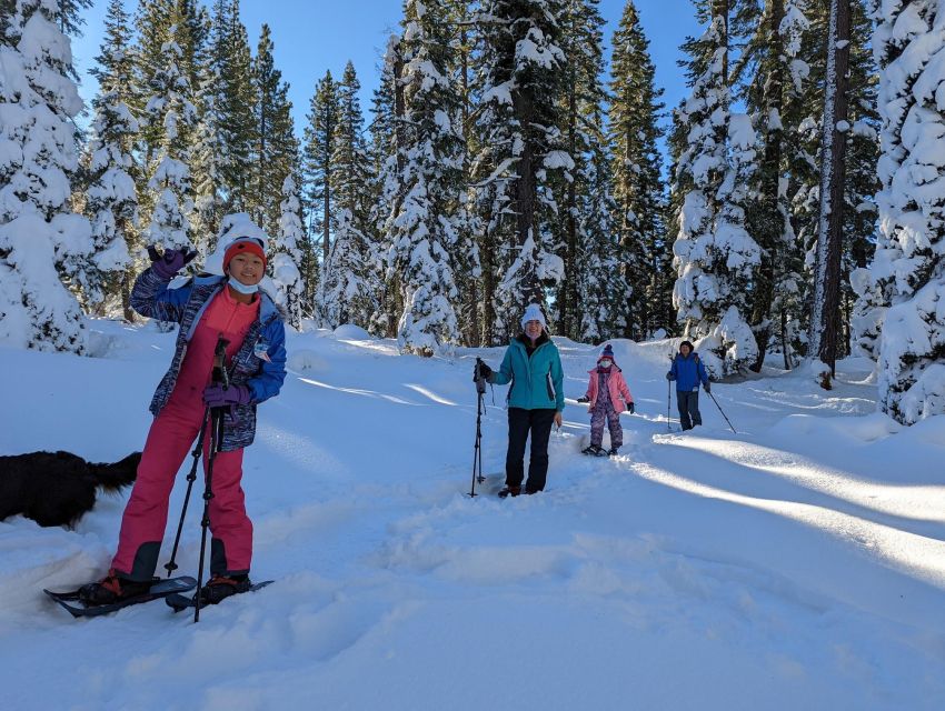 Beginner and Family Snowshoe Tour - Trail and Location