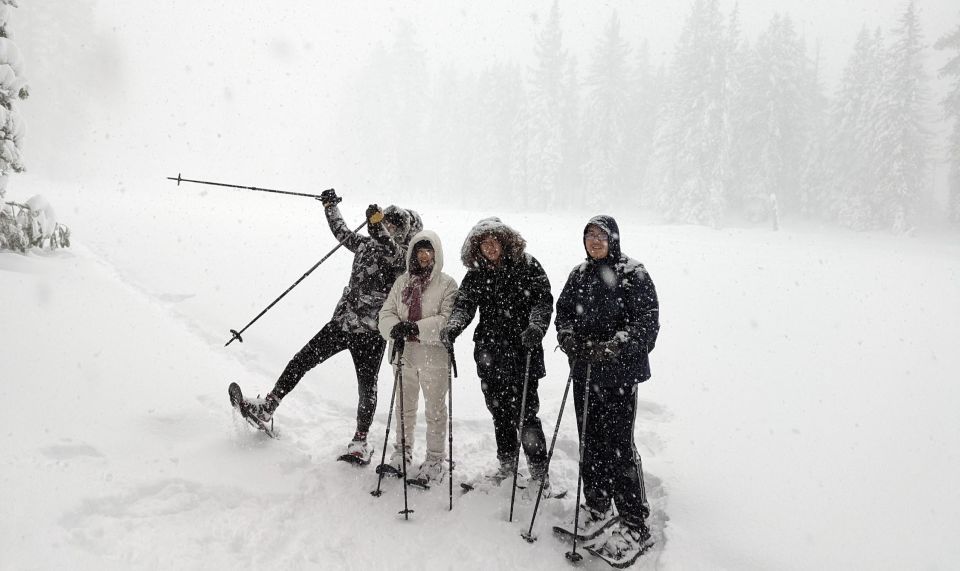 Beginner and Family Snowshoe Tour - Key Tour Details