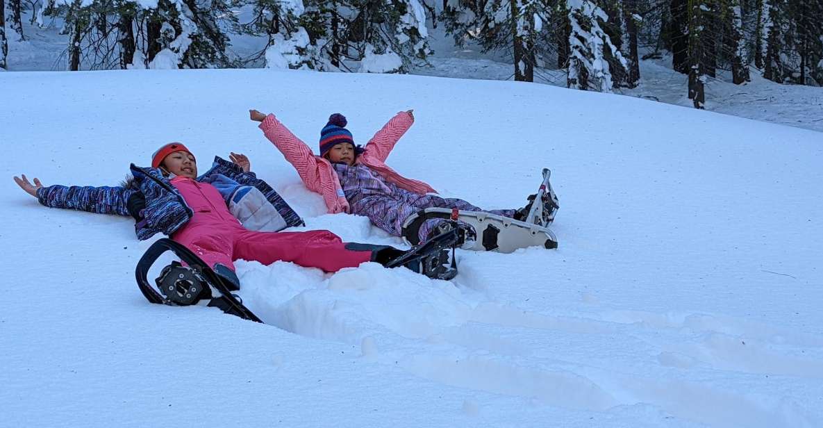 Beginner and Family Snowshoe Tour - Witness Alpenglow
