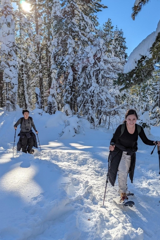 Beginner and Family Snowshoe Tour - Recap