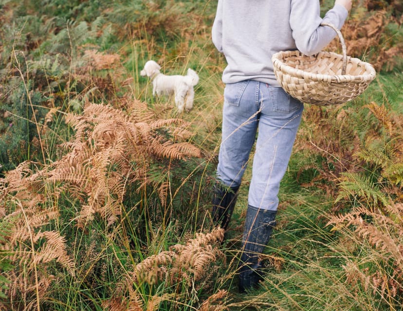 Beginner Foraging Walk: Wild food walking tour & tasters - Exploring the Beginner Foraging Walk: Wild Food Walking Tour & Tasters