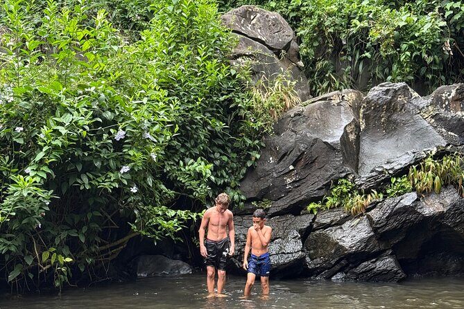 Beginner Forest Hike to a Refreshing Hawaiian Stream - The Practicalities: Booking, Cancellation, and Accessibility
